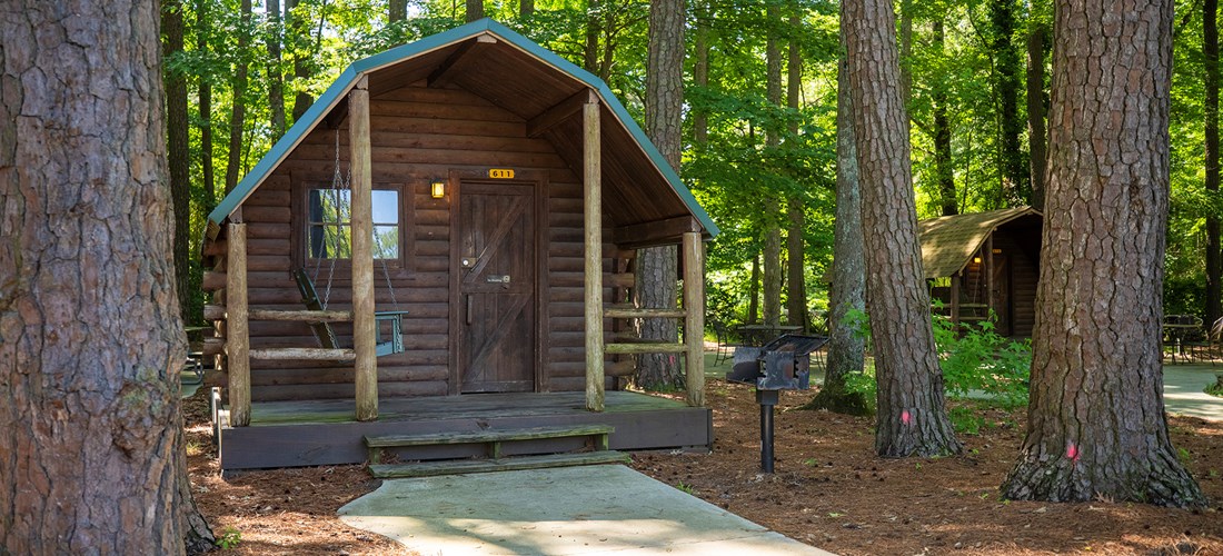 CC611 - Camping Cabin, Woods