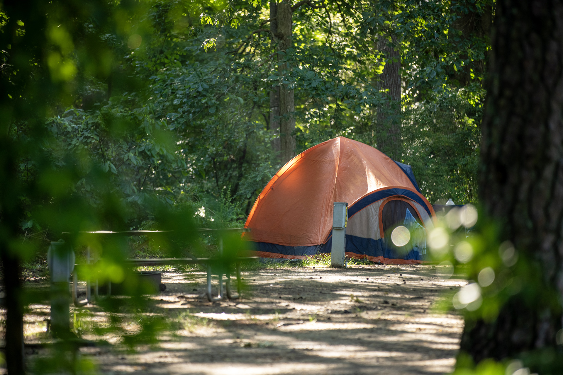T156 - Tent Site, Water/Electric