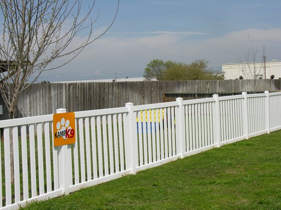 K9 Dog Park