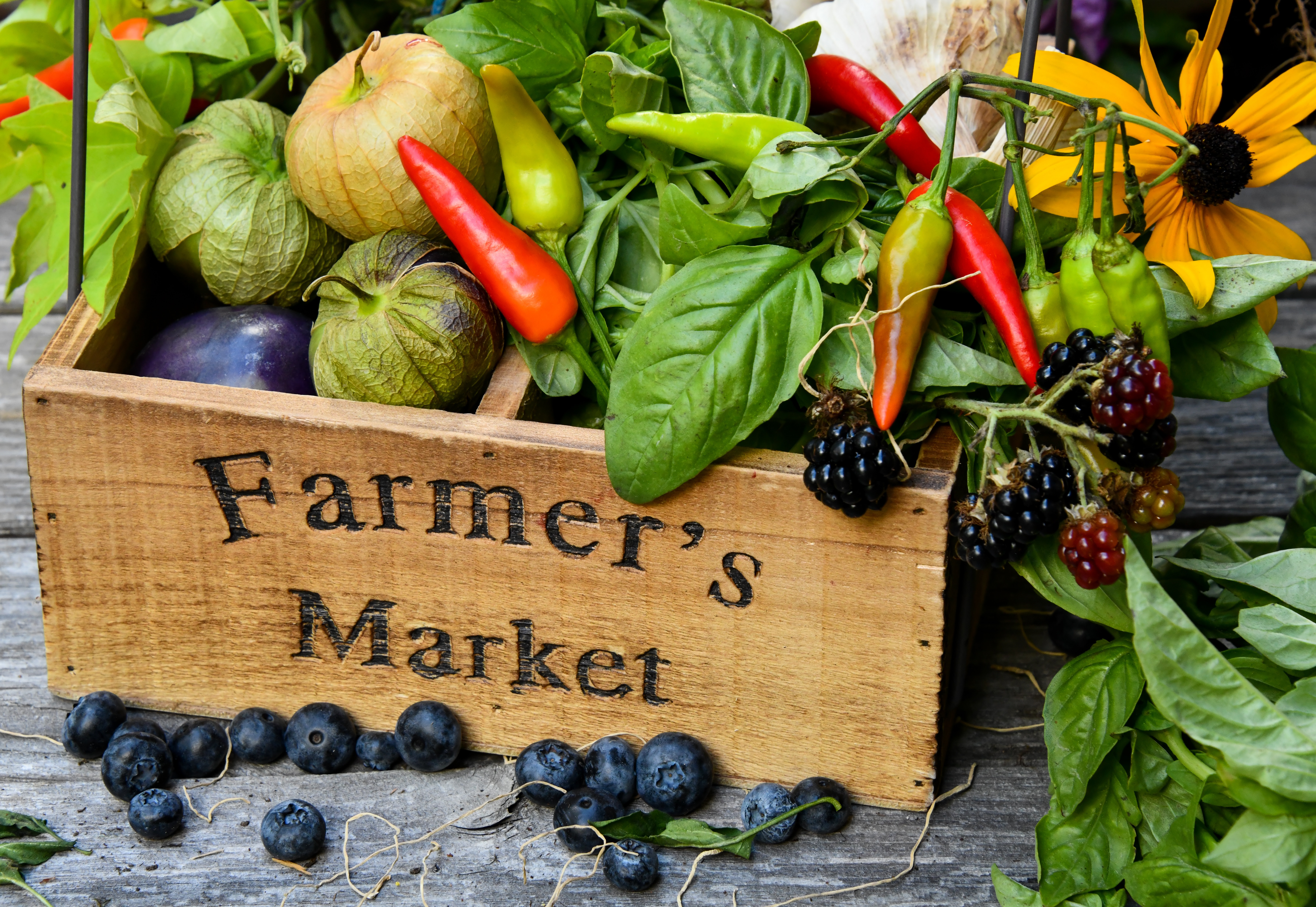 Farmers Markets & Flea Markets Photo