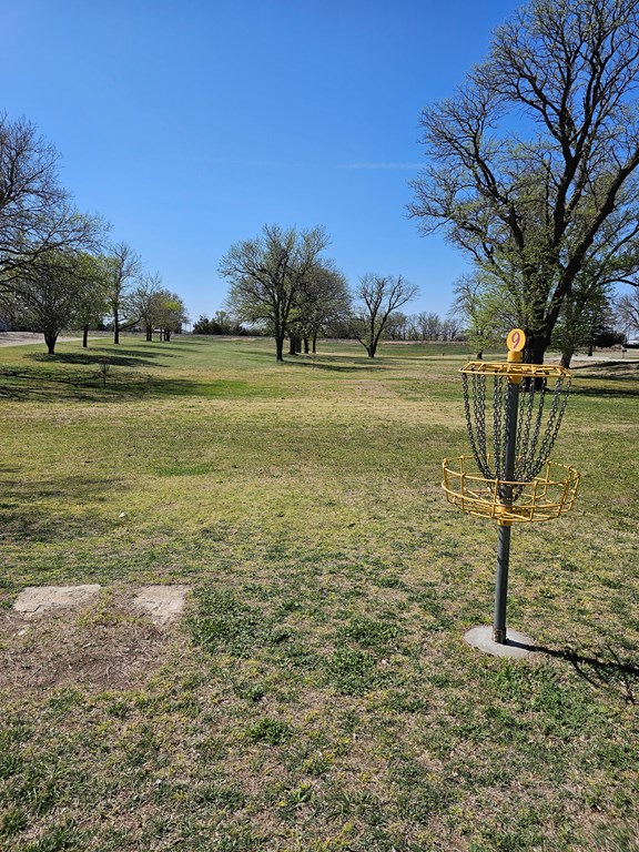 Disc Golf