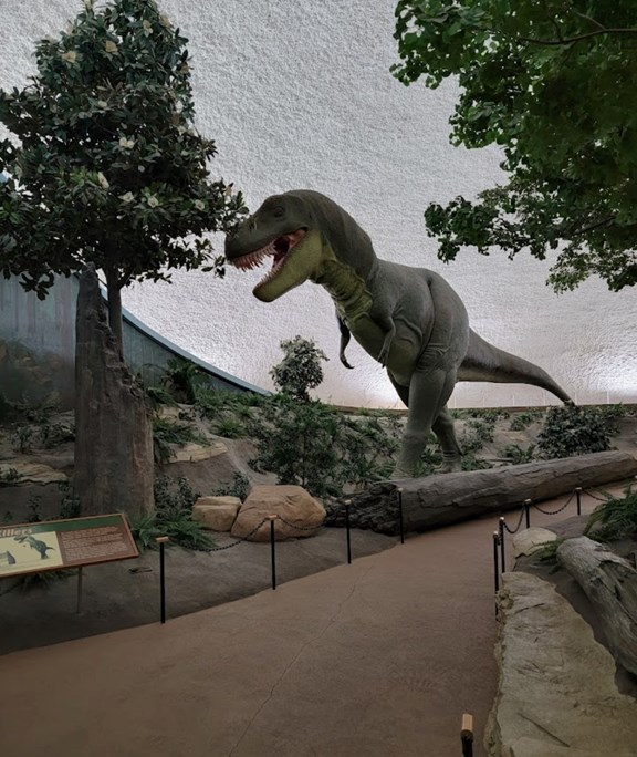 Sternberg Museum of Natural History
