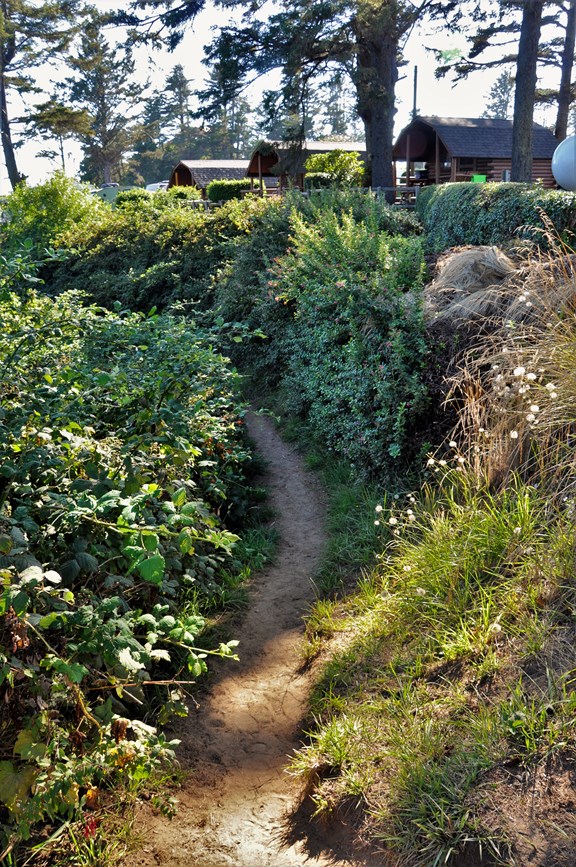 Trail to the Bay Beach