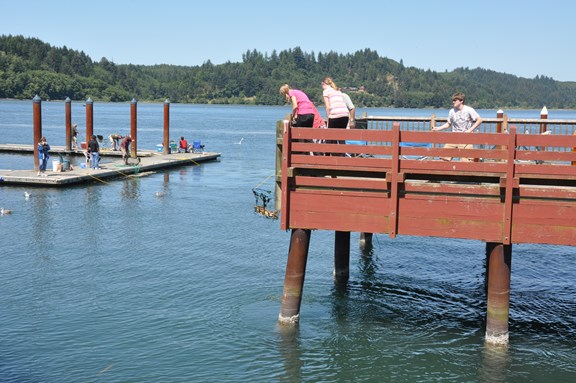 Waldport City Docks