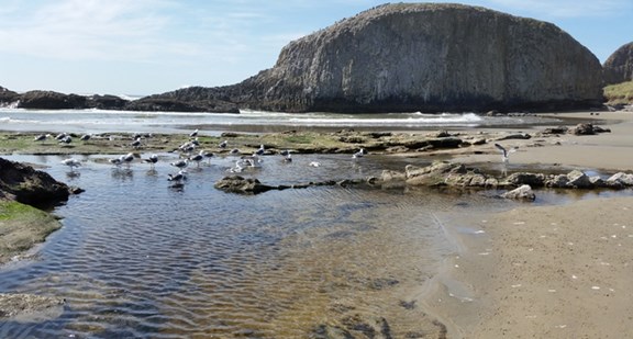 Seal Rock State Park