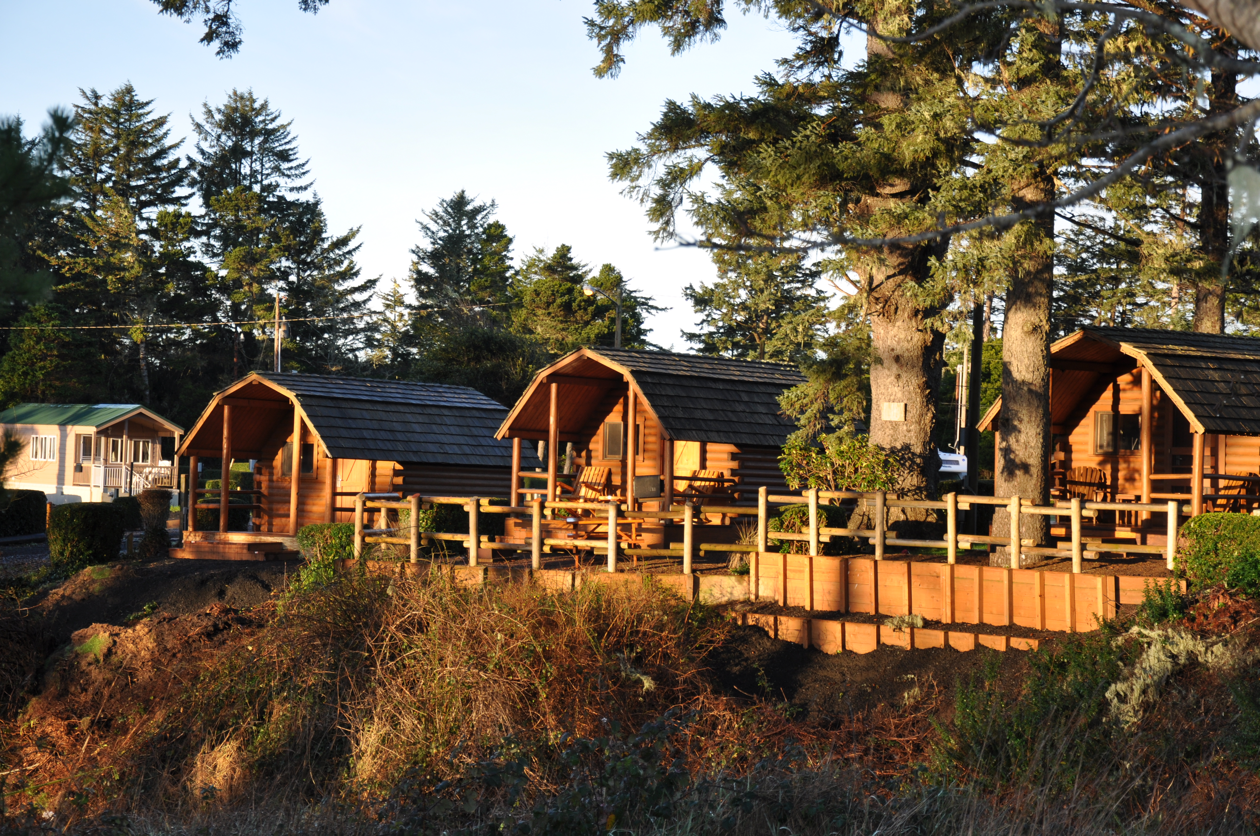 1 Room Cabin w/ a View