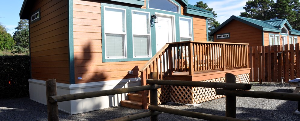 Deluxe Studio Cabin