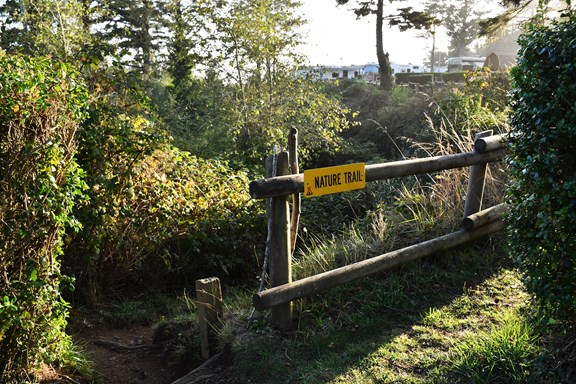 Trail Head