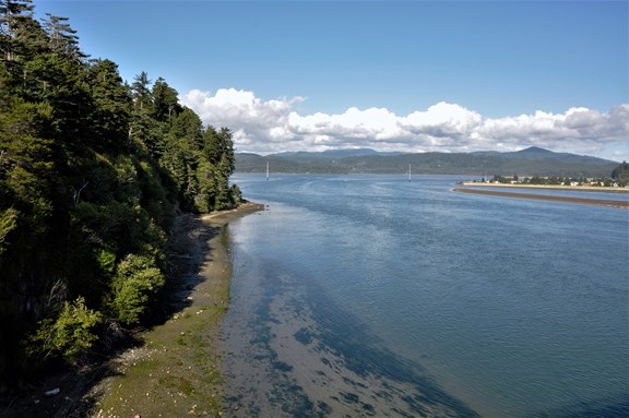 Alsea Bay