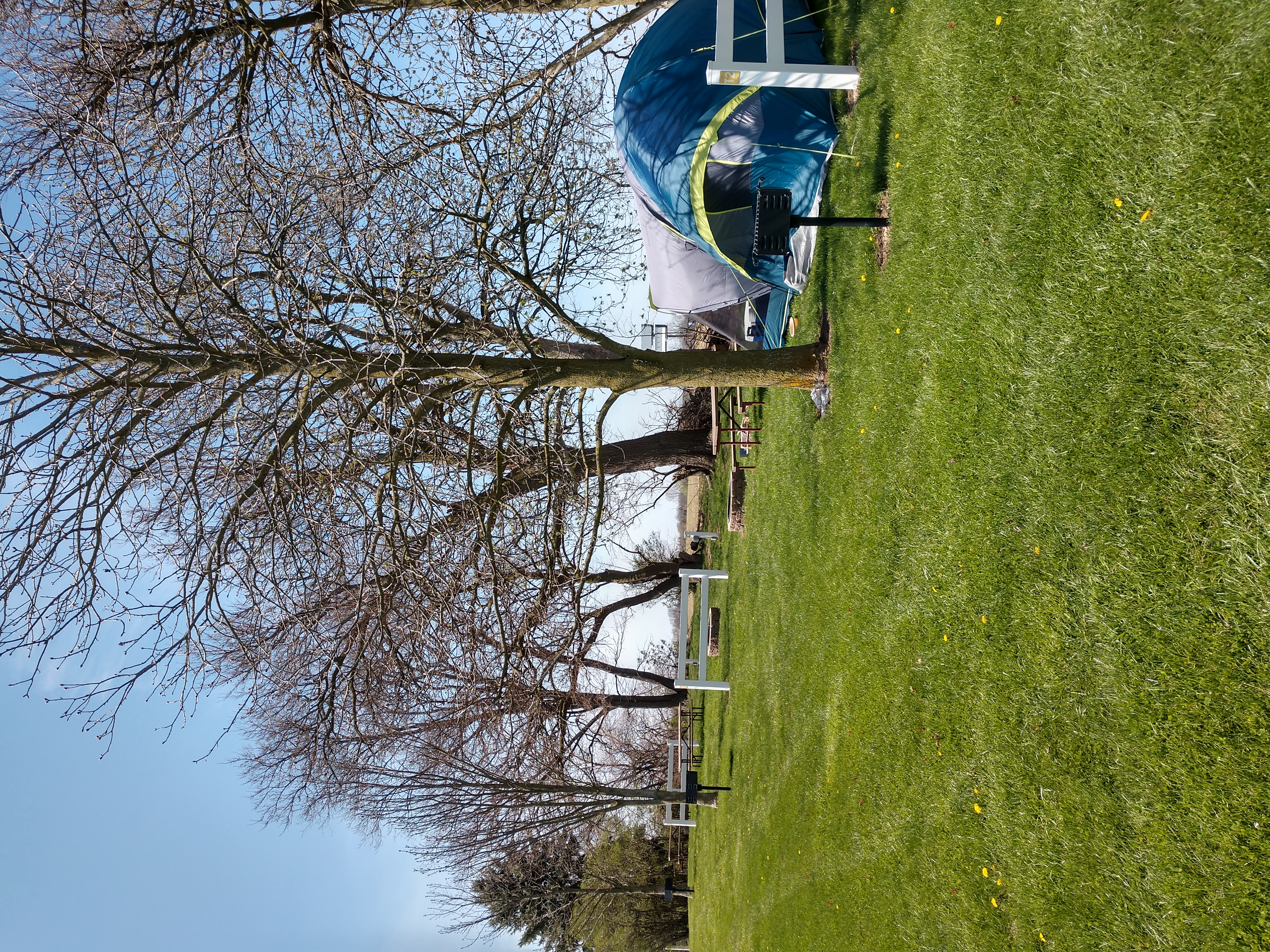 Grass pad tent sites!