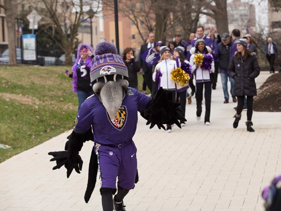 Ravens Park