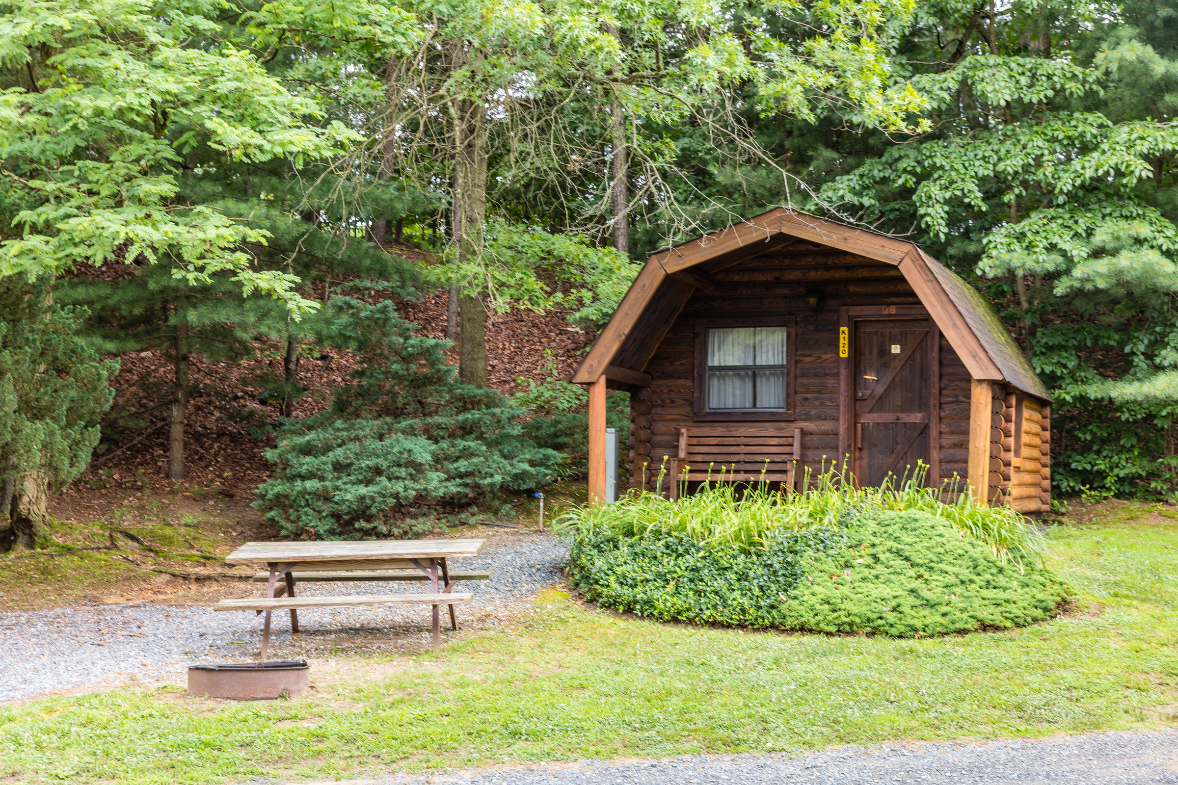 One room cabin