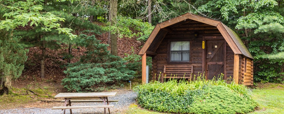 One room cabin