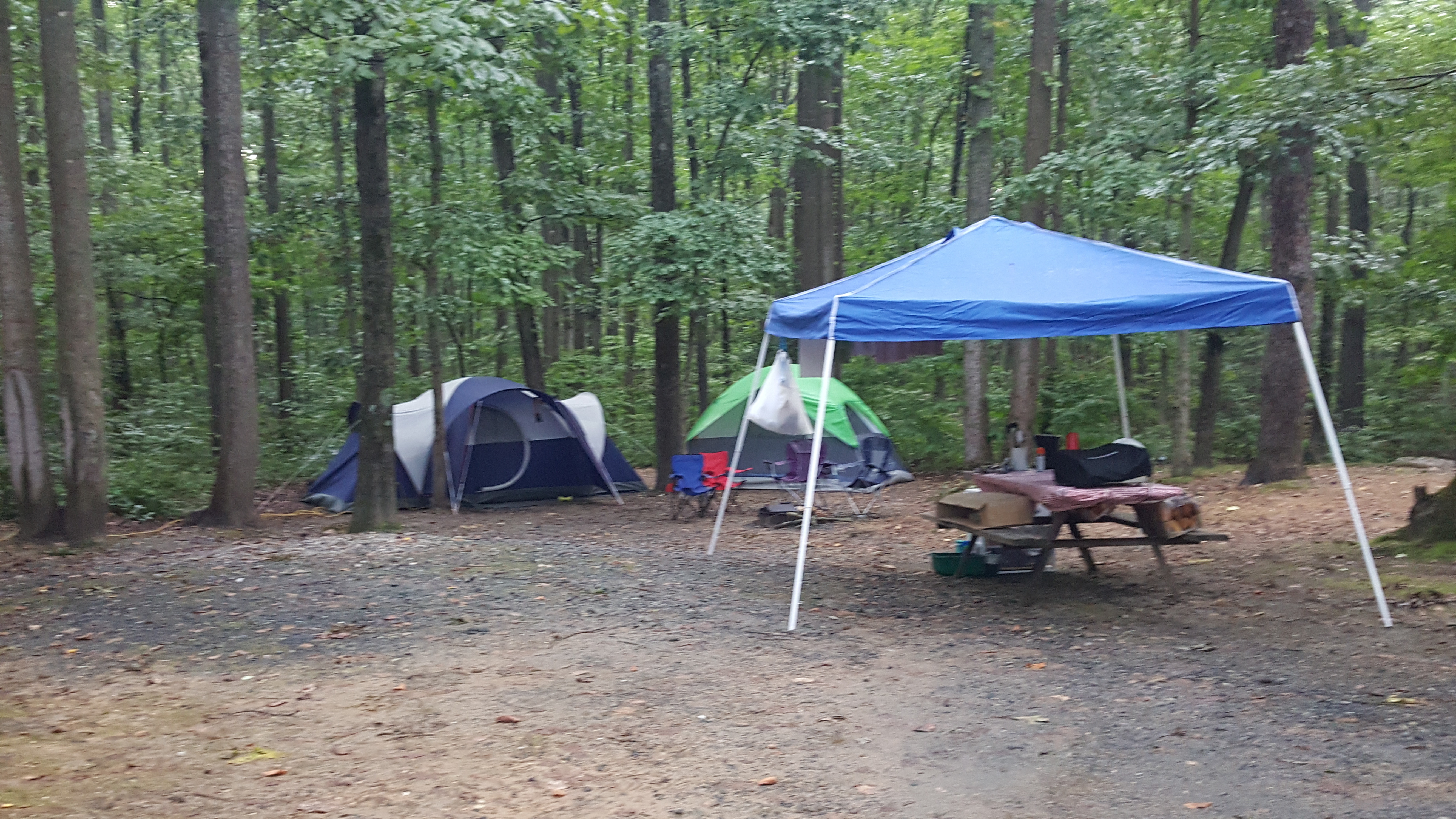 Tent with Electric