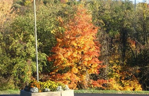 Beautiful fall day at KOA!