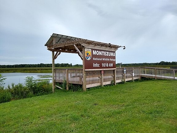 Montezuma National Wildlife Refuge