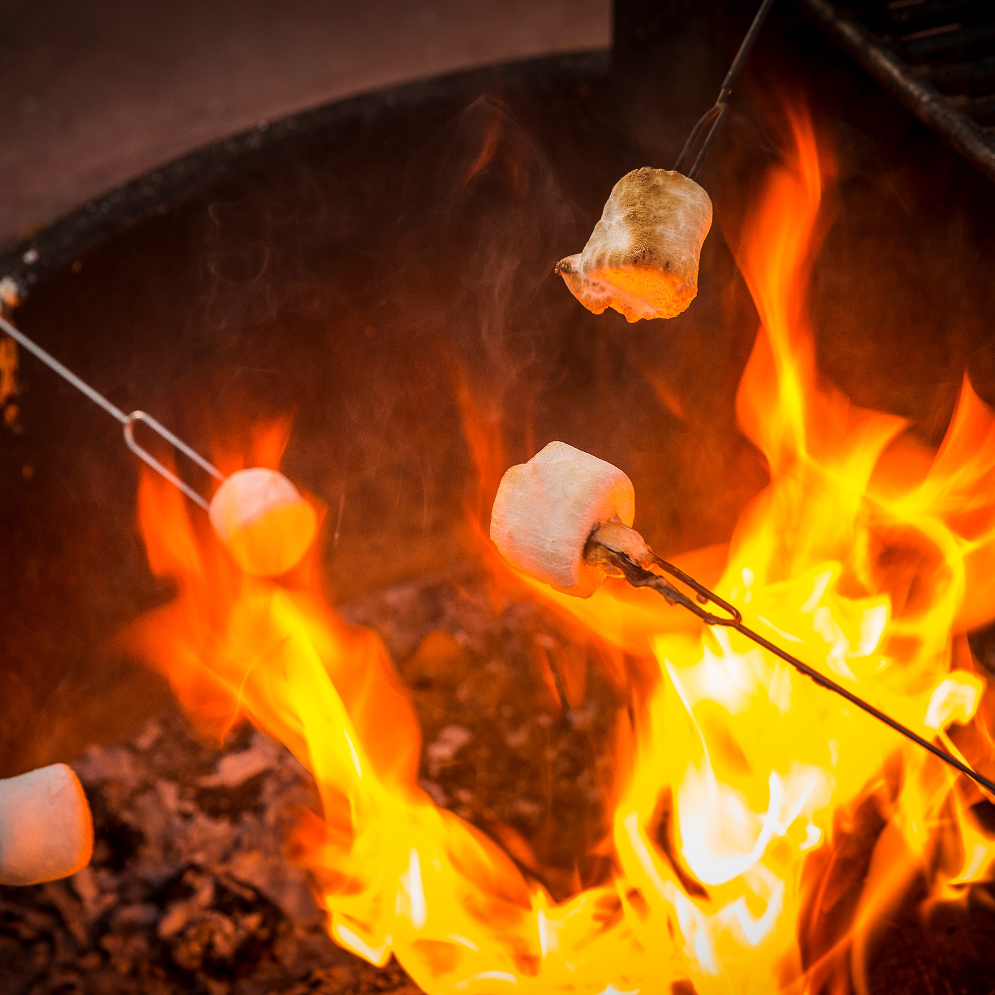 Campfire & S'mores Photo