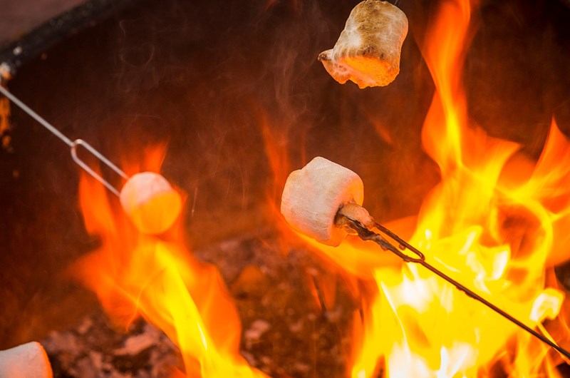 Campfire & S'mores Photo