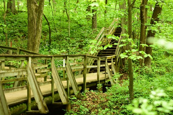 Hartman Reserve Nature Center
