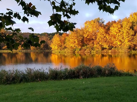 Hickory Hills Park