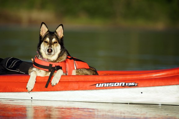 Canoeing & Kayaking