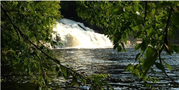 Waterfall Tour - Cranberry Lake
