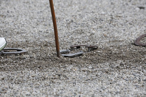 Horseshoes