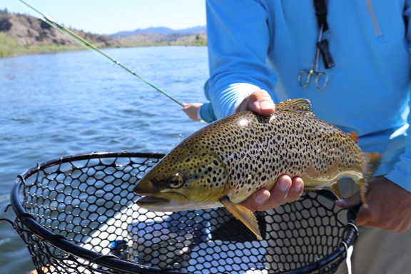 Fishing - Lake Bonaparte