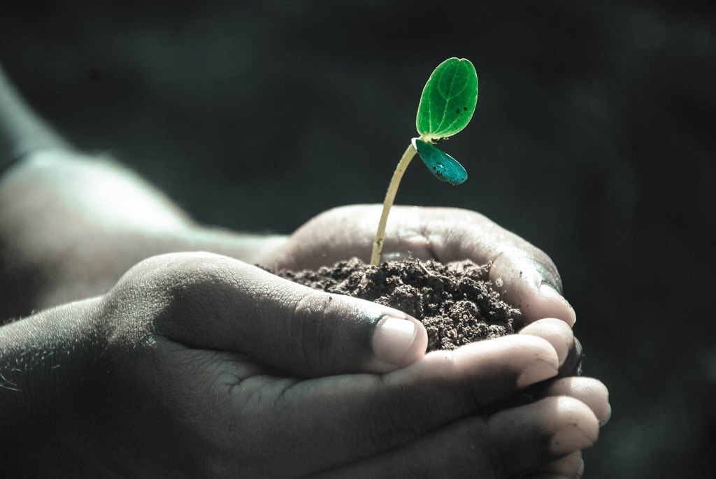 Striving For KAMP GREEN:  A Commitment To Sustainability