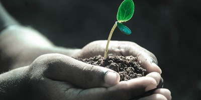 Striving For KAMP GREEN:  A Commitment To Sustainability
