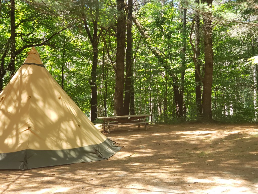 How To Keep Bugs Away While Camping