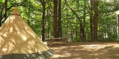 How To Keep Bugs Away While Camping