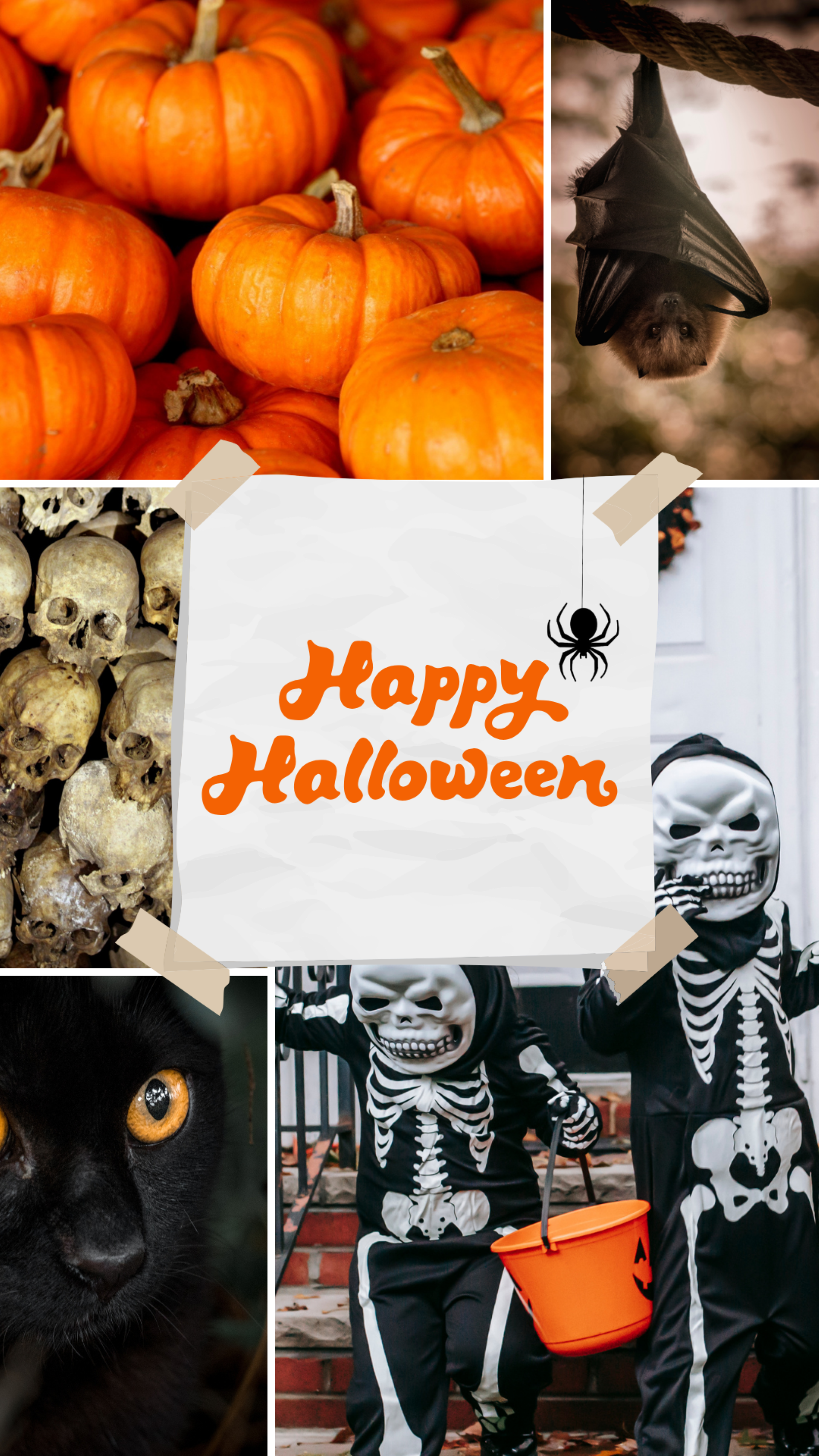 Canadian Thanksgiving & Halloween Party Weekend Photo