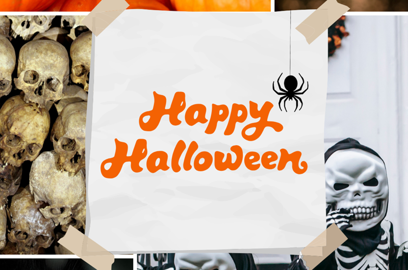 Canadian Thanksgiving & Halloween Party Weekend Photo