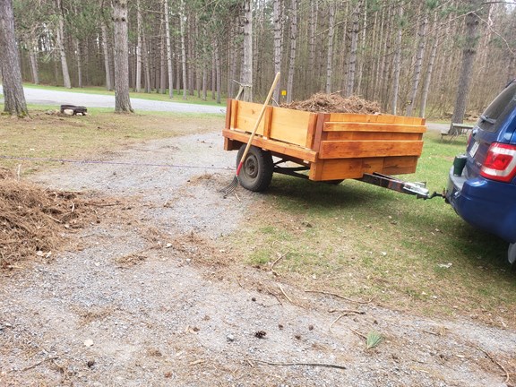 Welcome to the Natural Bridge / Watertown KOA Journey