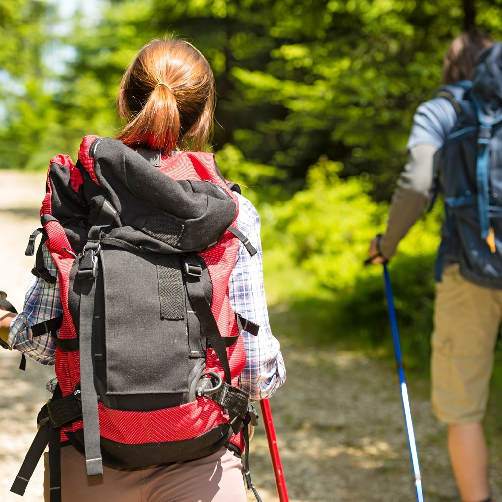 Best Watkins Glen Hiking Trails