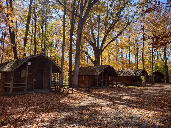 Cabins in the Fall