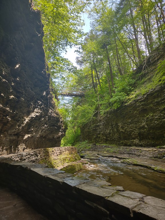 Gorge Trail