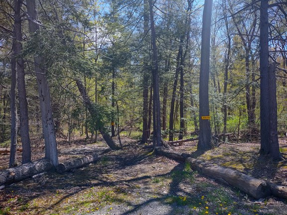Hiking Trail Entrance