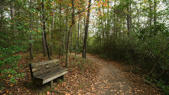 Douglas State Forest