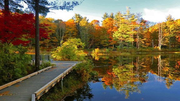 Mass Audubon's Pierpont Meadow Wildlife Sanctuary