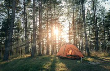 Webster / Douglas Forest KOA Journey Photo