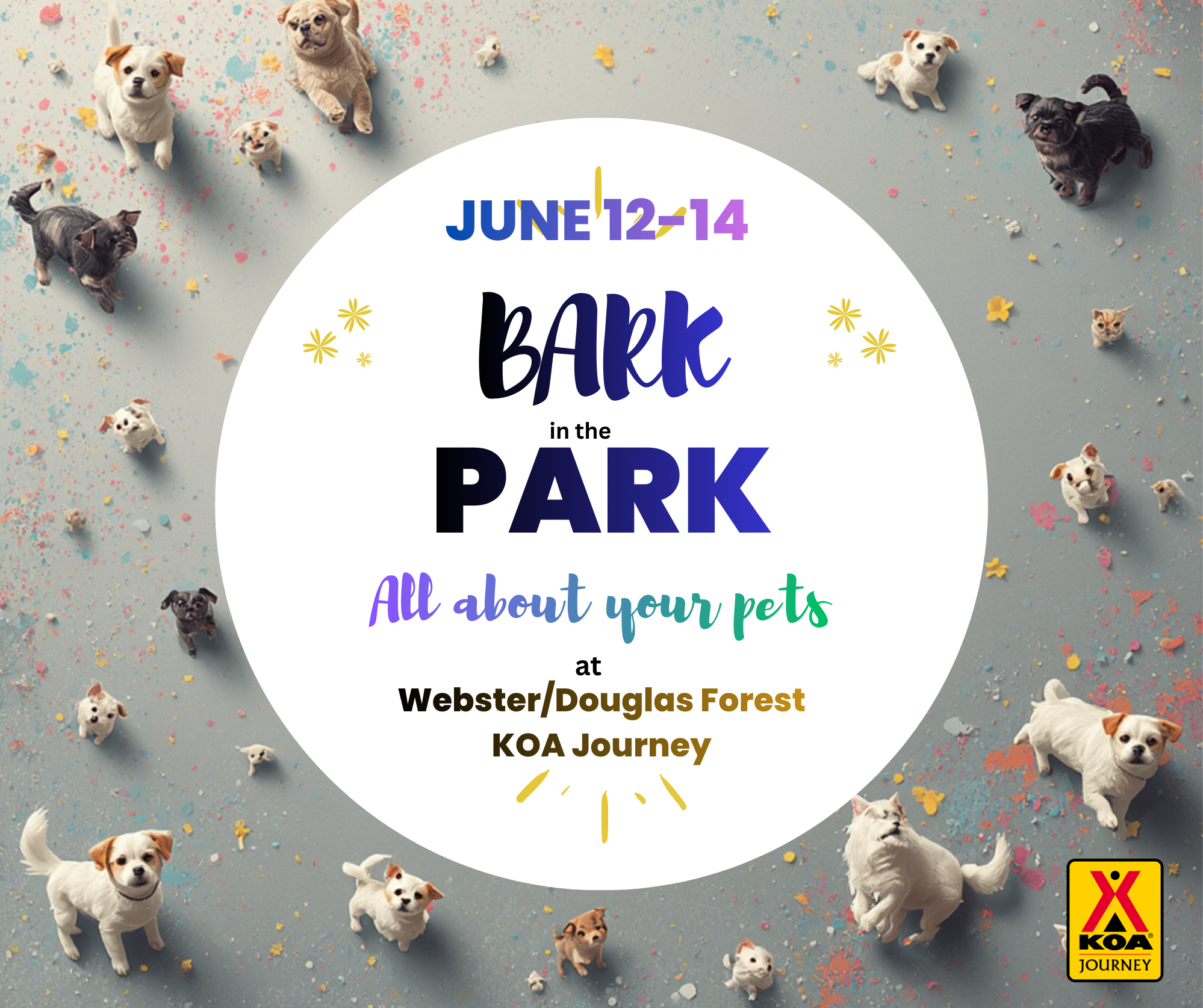 June 12-14 Bark in the Park Photo