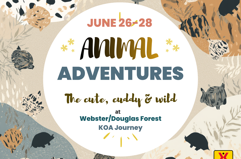 June 26-28 Animal Adventures Photo