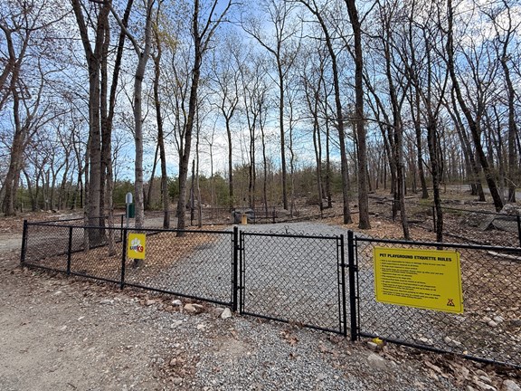Dog Park