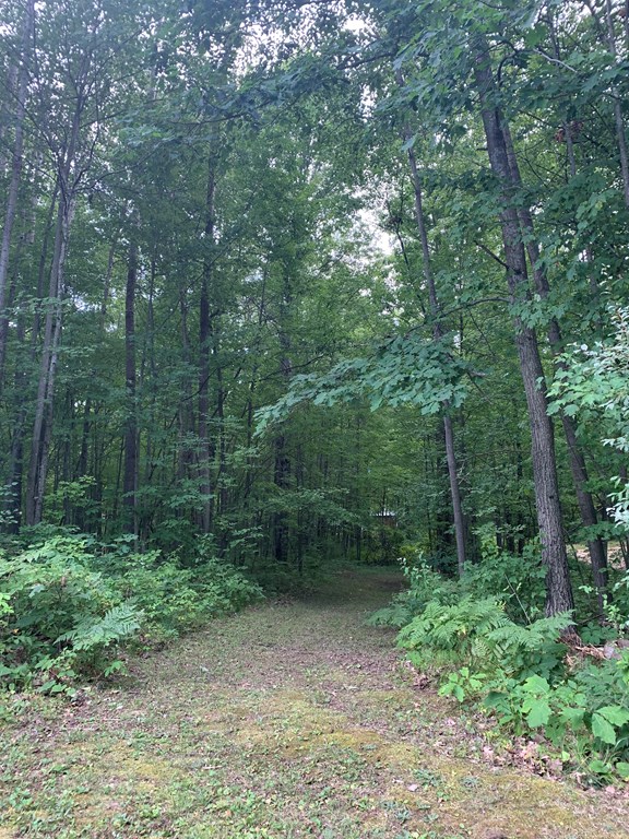 Walking Trails