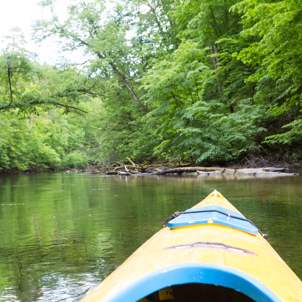 Beginner Whitewater Rafting Techniques