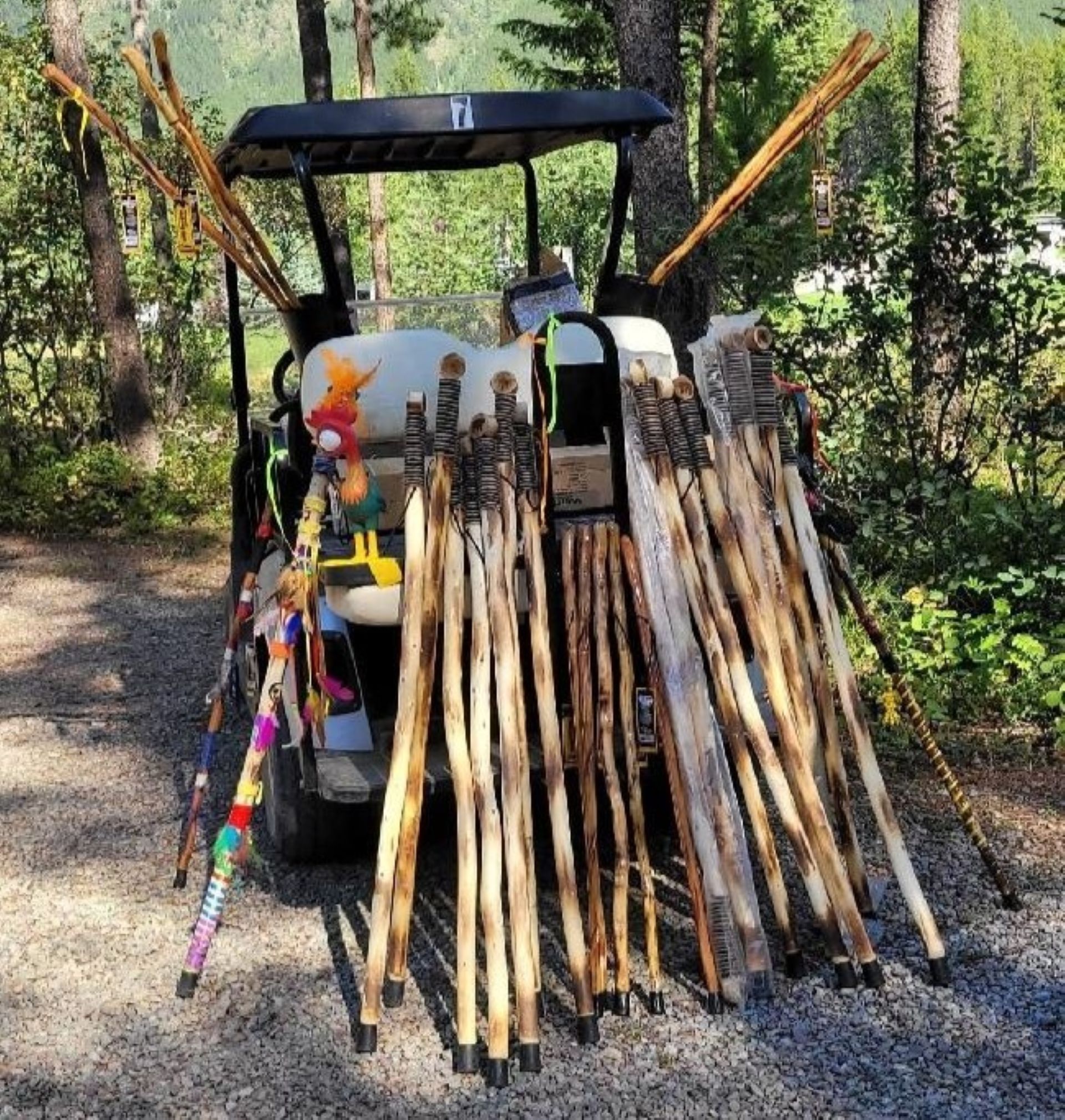 Deorate a Walking Stick Photo