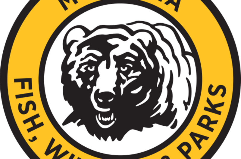 Montana FWP Bear Aware Photo