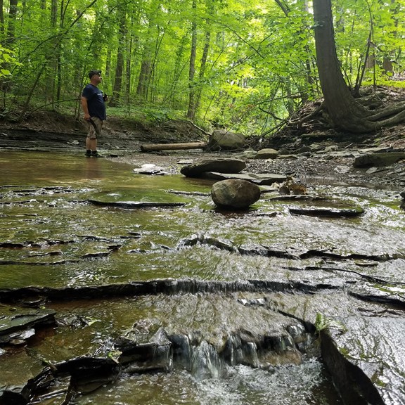Creek Exploring